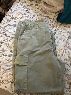 GAP Cargo Pants in Sage